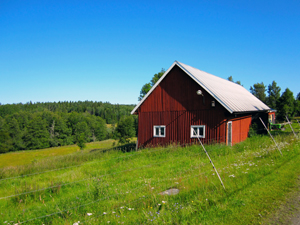 Landwirtschaft bei Mellerud, 2011